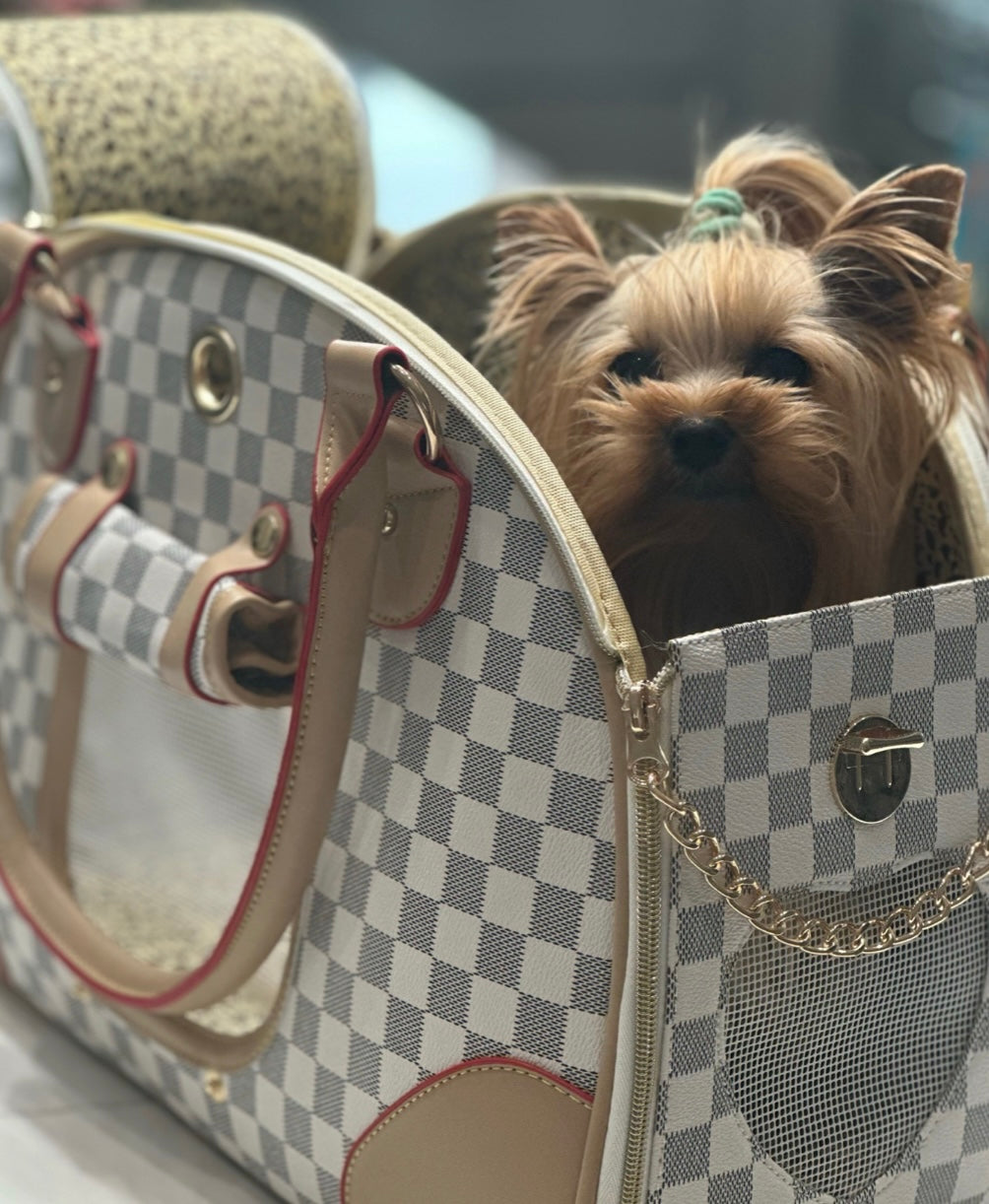 Designer dog accessories