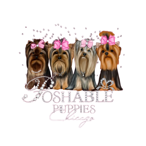 Poshable puppies Chicago Boutique