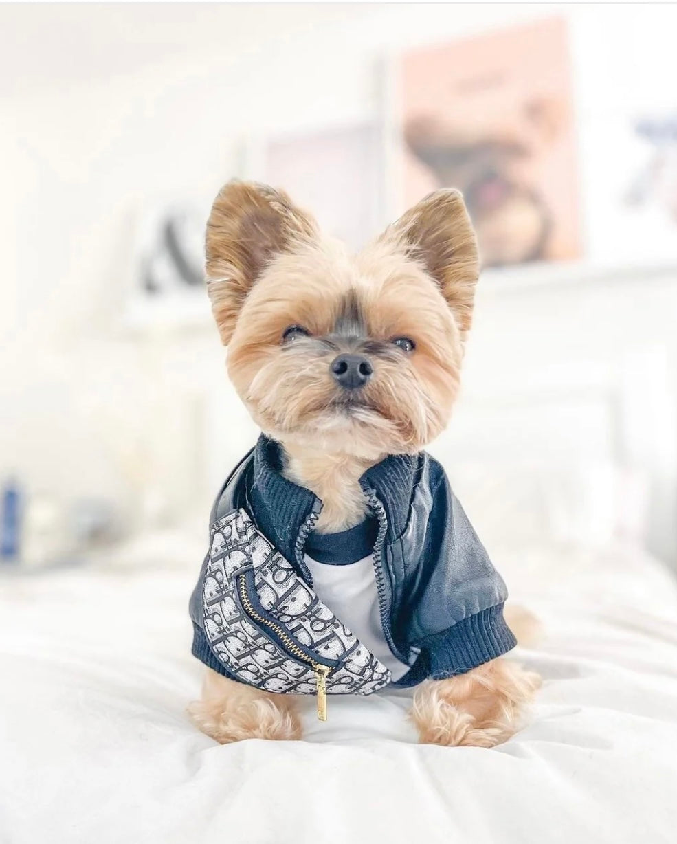 Small dog designer Bumbag