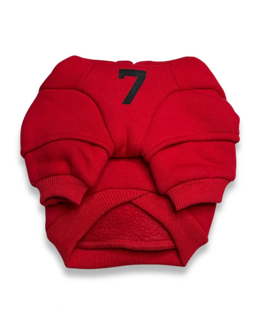 essentials fearless of dog hoodie red